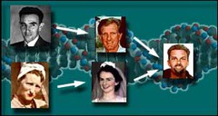 <p>the study of heredity</p>