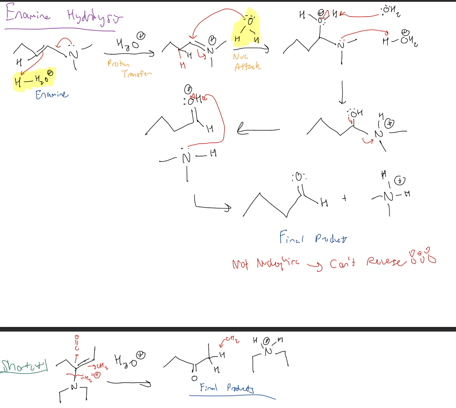 <p>1) Carbon-Carbon Alkene Proton Transfer</p><p>2) H2O Attaches to Carbon Double Bond N</p><p>3) Deprotonate H2O and Protonate N</p><p>4) Form Carbonyl and Make AMine a Leaving Group</p><p>5) Deprotonate OH carbonyl to form Ketone Final Product</p>