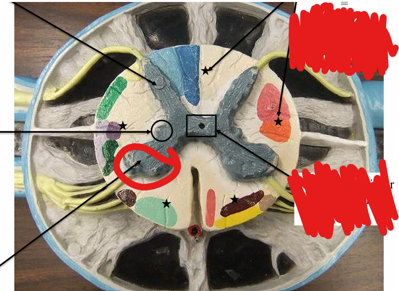 <p>what is this</p>