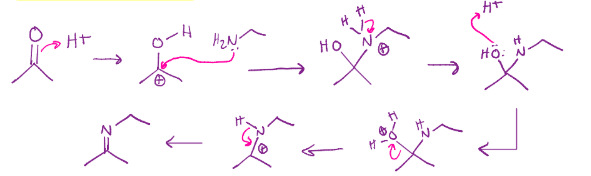 <p>Imine formation</p>