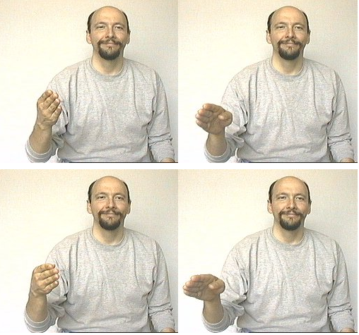 <p>dom hand makes “b” twist/shake hand from elbow (not wrist)</p>