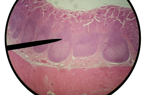 <p>What is this?</p>