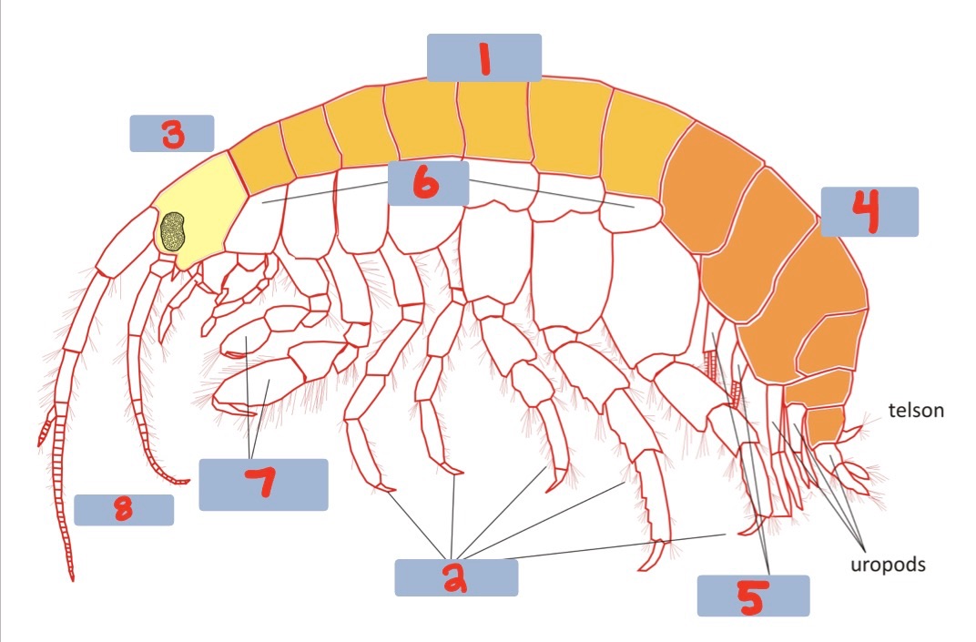 <p>2?</p>