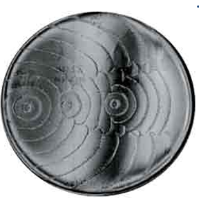 <ul><li><p>Groei op alle algemene bodems</p></li><li><p>Groei op MC met kleurloze kolonies (lactosenegatief)</p></li><li><p>Proteus spp. zwermen uit op de meeste vaste voedingsbodems (niet op voedingsbodems met verlaagde elektrolytenconcentraties) (zeer scherpe geur) </p></li><li><p>Facultatief aeroob</p></li></ul><p></p>