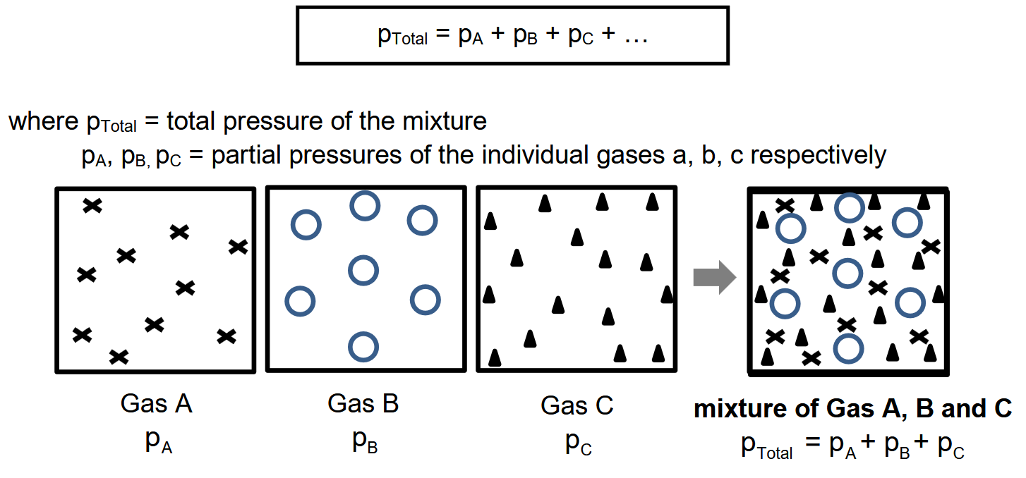 <p>When a mixture of gases that do not react with each other is confined into a container, the</p><p>gas behaves as if it were the only gas present. Partial pressure of a gas is the pressure</p><p>that each gas would exert if it alone occupied the container.</p><p>• Dalton’s law of partial pressure states that the total pressure of a mixture of gases that do</p><p>not react chemically with one another is the sum of the partial pressures of the constituent</p><p>gases.</p>
