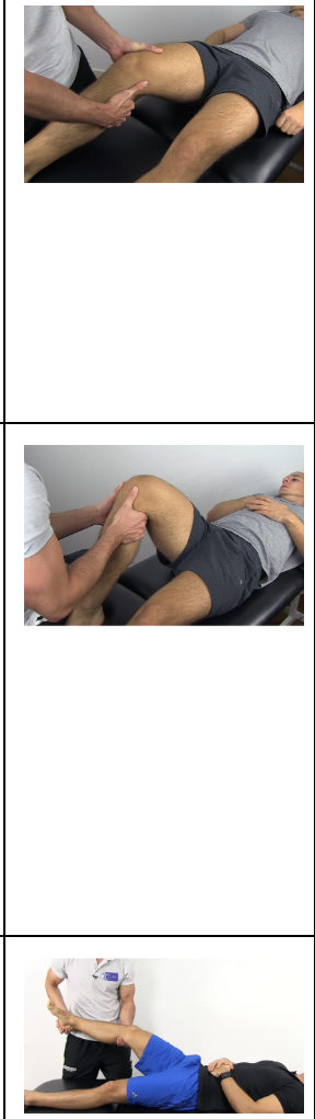 <p>Lachman, anterior drawer, and lateral pivot shift</p>