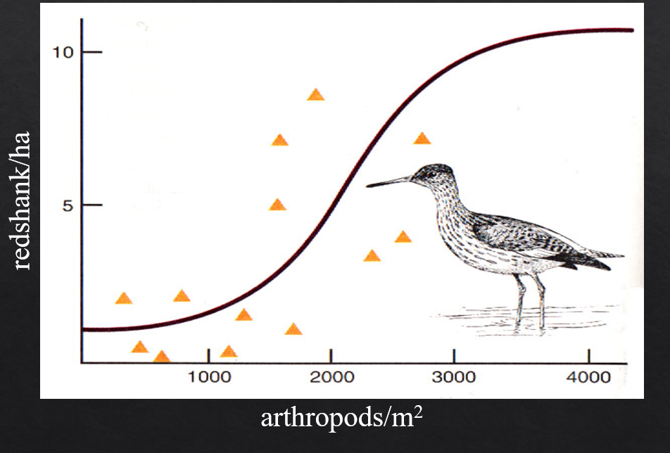 <p> when predators physically move to and concentrate in areas with the highest prey density.</p><p>Density dependent selection by letting less dense patches survive</p>