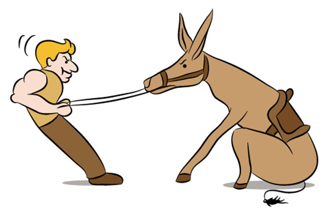 <p>لجباز</p>