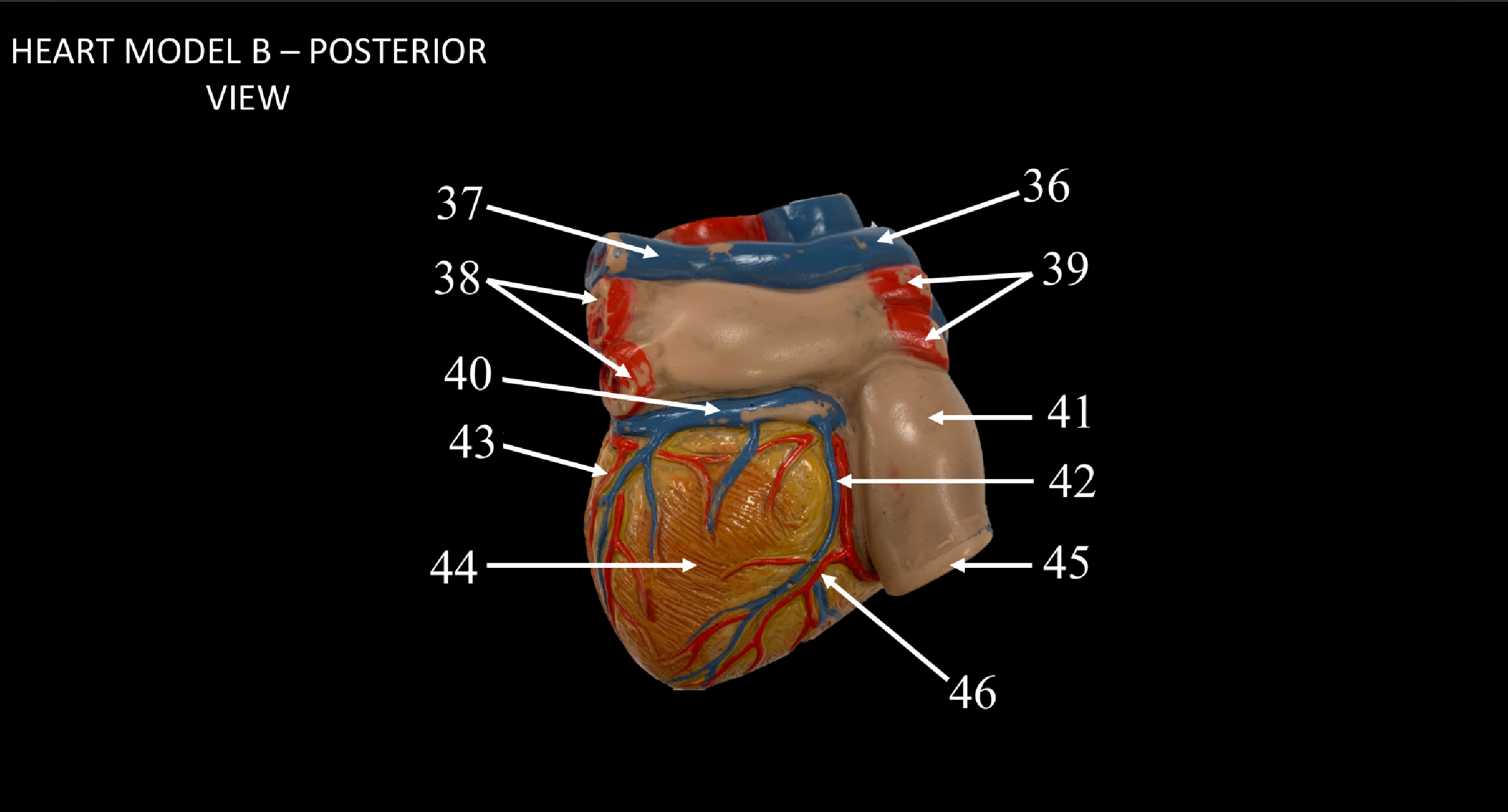 <p>WHAT IS 37 CALLED?</p>