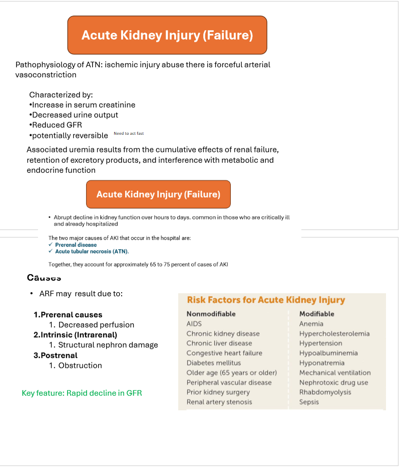 <p>Abrupt decline in kidney function (GFR)</p>