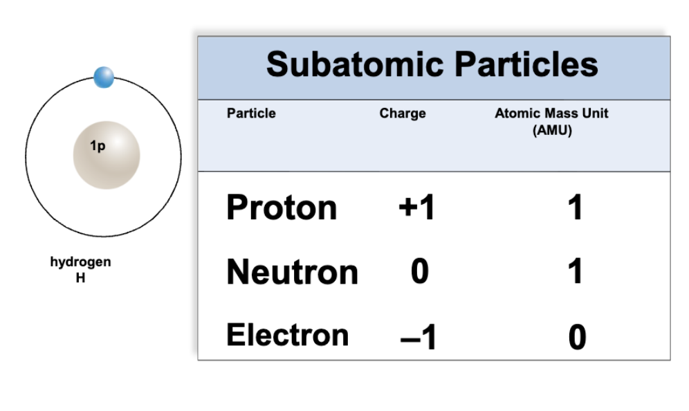 <ul><li><p>neutrons are neutral (uncharged)</p></li><li><p>protons are positively charged</p></li><li><p>neutrons and protons make up the nucleus</p></li><li><p>electrons are negatively charged and orbit around the nucleus</p></li></ul><p></p>