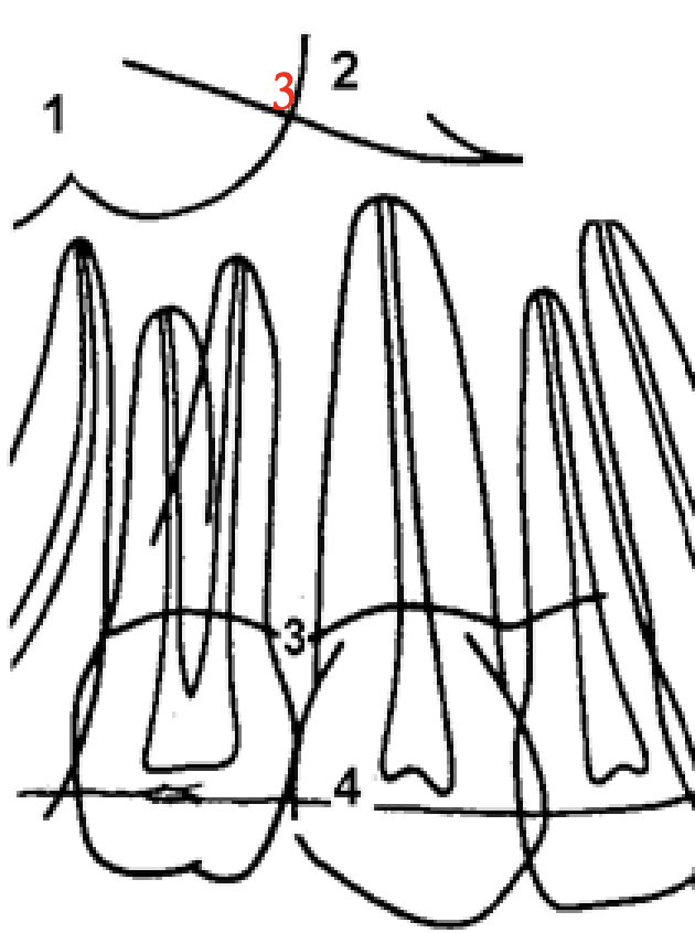 <p>Hvad viser 2?</p>