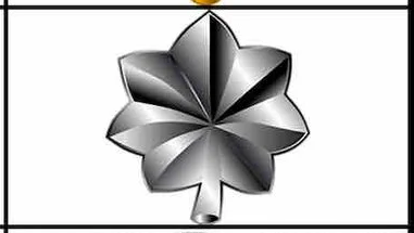 <p>O-5 Lieutenant Colonel</p>