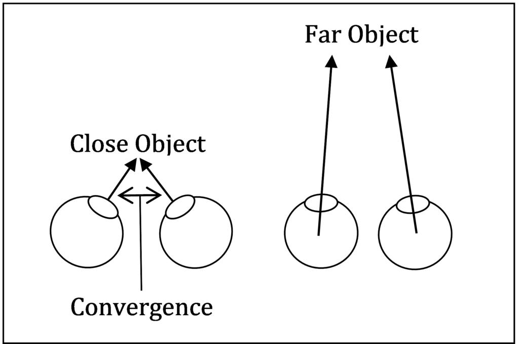 <p><span style="font-family: Calibri, sans-serif; line-height: 115%;"><strong>Biological Factors</strong> influencing visual perception - Binocular Depth Cues</span></p>