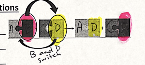 <p>Is that double displacement or single displacement</p>