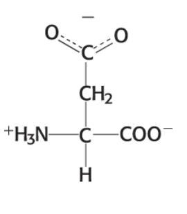 <p>CH2 — C == O == O </p>