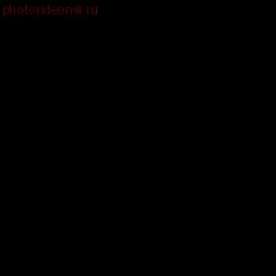 <p>black</p>