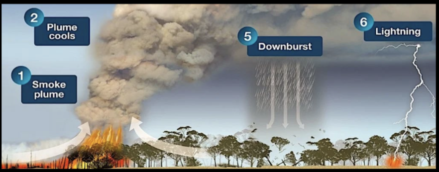 <p>Heat generates its own convection/weather that keeps fires going</p><ul><li><p>updrafts</p></li><li><p>high winds</p></li><li><p>ash rain</p></li><li><p>lighting > charged particles</p></li><li><p>smoke (gases + fine, toxix particles)</p></li></ul><p></p>