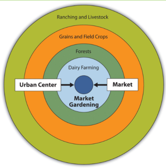 <p>Ring 1: Market-oriented garden and milk producers (Dairy)</p><ul><li><p> Expensive to deliver</p></li><li><p>Perishable</p></li></ul><p>Ring 2: Woodlots</p><ul><li><p>timber cut for construction and fuel</p></li><li><p>Closeness to market is important for this commodity because of its weight</p></li></ul><p>Third Ring</p><ul><li><p>Used for various crops and pasture</p><ul><li><p>Specific commodity rotated from one year to the next</p></li></ul></li></ul><p>Fourth Ring</p><ul><li><p>Devoted exclusively to animal grazing</p><ul><li><p>Requires lots of space</p></li></ul></li></ul><p></p>