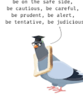 <p>Circumspect {adjective}</p>
