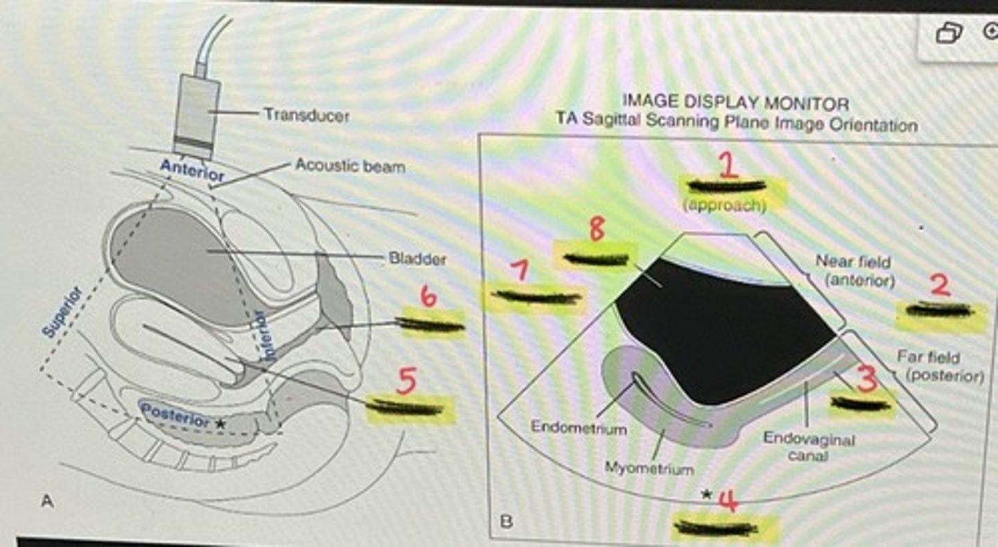 <p>2</p>