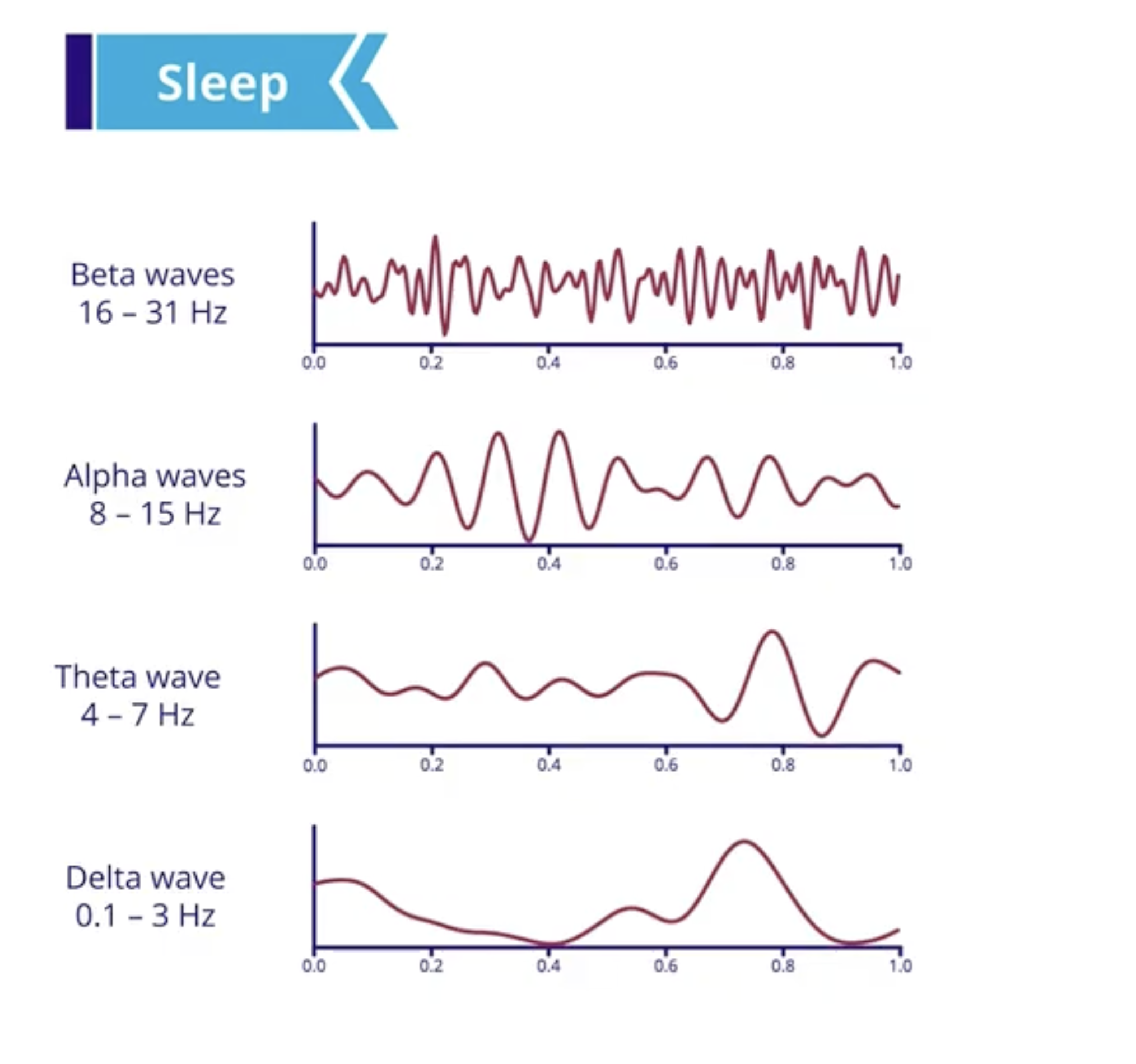 <p>Non-rapid eye movement (NREM) sleep</p>