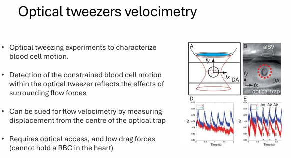 <ul><li><p>optical tweezing experiments to characterize blood cell motion</p></li><li><p>detection of the constrained blood cell motion within the optical tweezer reflects the effects of surrounding flow forces</p></li><li><p>can be sued for flow velocimetry by measuring displacement from the centre of the optical trap</p></li><li><p>requires optical access, and low drag forces</p></li></ul><p></p>