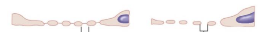 <p>what is this a picture of?</p>