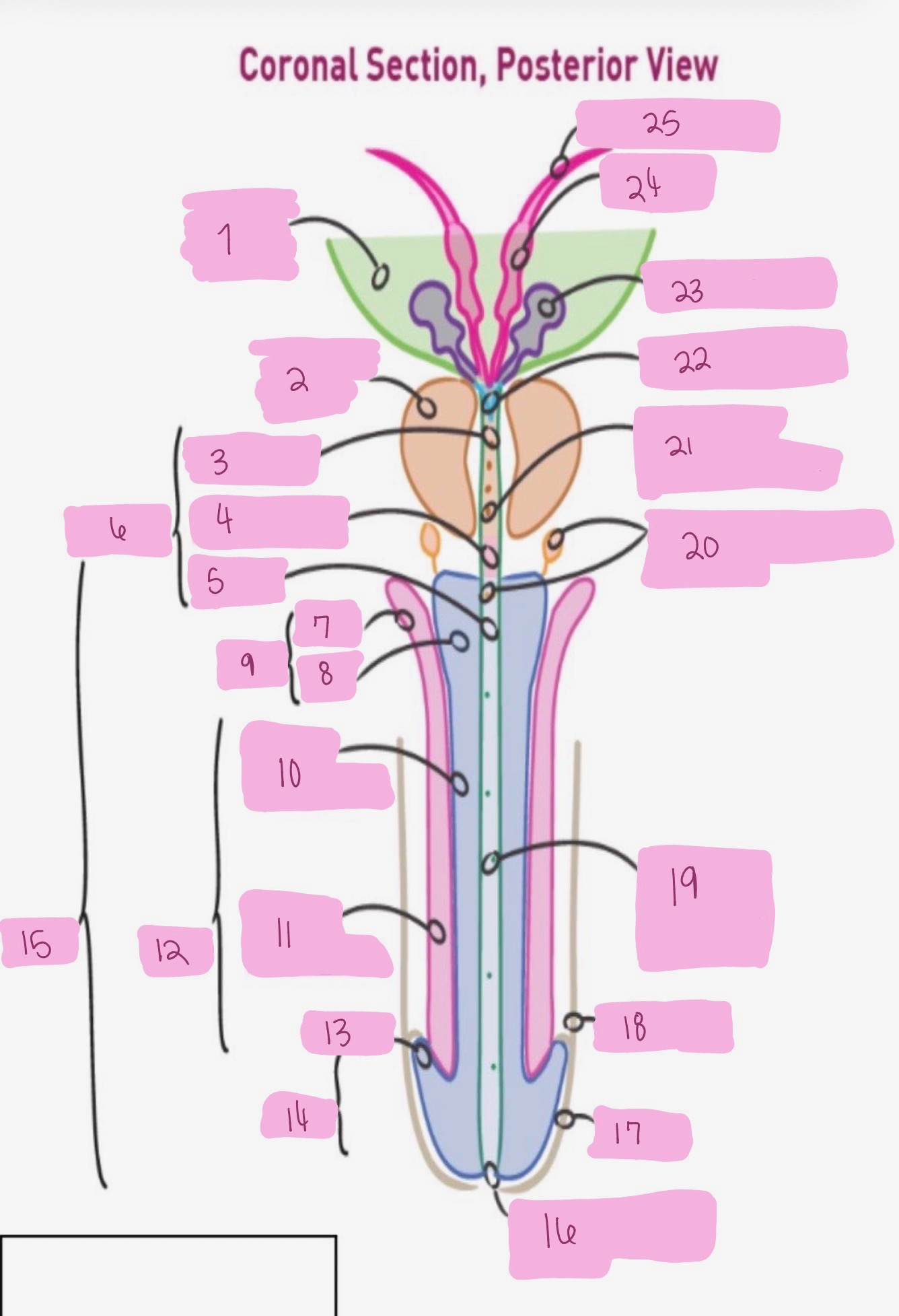 <p>what is 16</p>