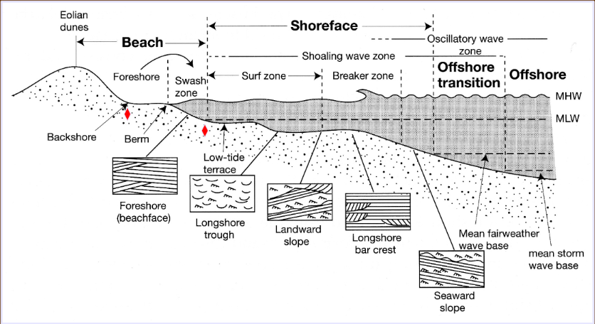 <p>Lower energy conditions with fine sand and silt. Landward migrating ripples with sub-planar laminated bedding. Structures tend to be destroyed by bioturbation. Cruziana common</p>
