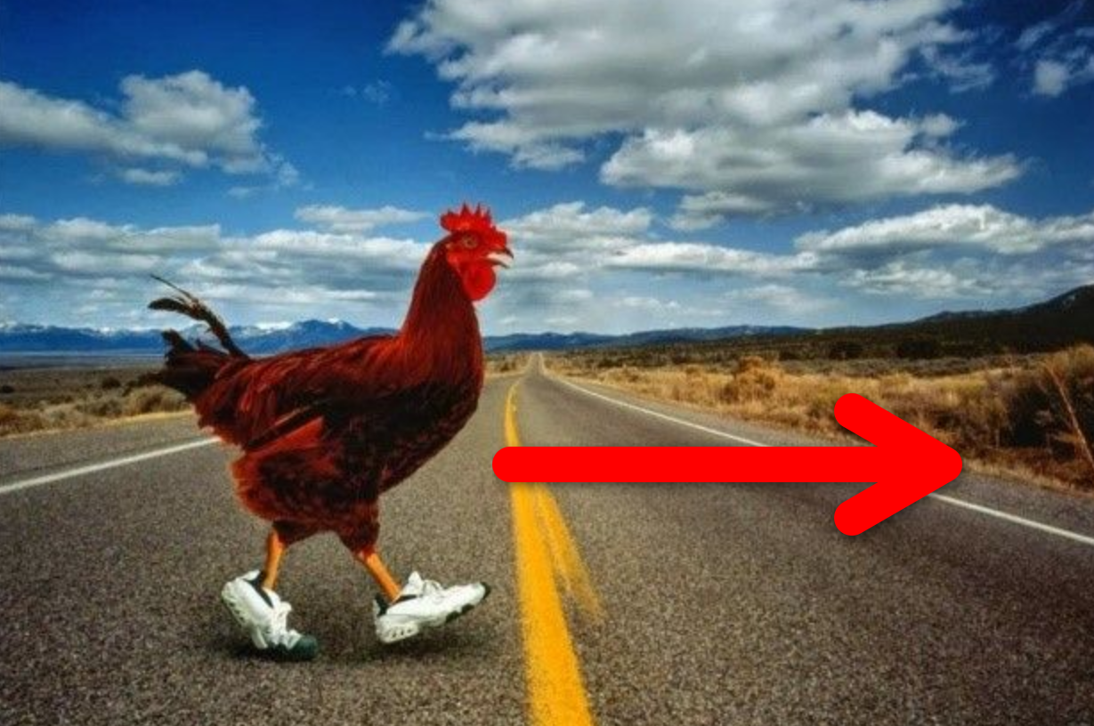 <p>What is this verb?<br>The chicken is ________ing the road.</p>