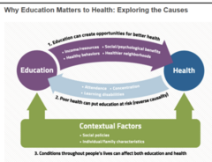 <p>unwell children may be unable to attain higher levels of SES (blue)</p><p>reverse casualty</p>