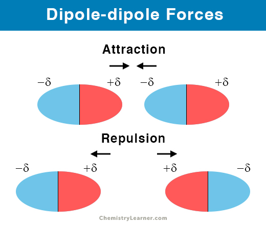 <p>Between polar molecules</p><p>Require close proximity of molecules</p><p><strong>More</strong> polar molecules = <strong>stronger</strong> dipole-dipole interactions</p>