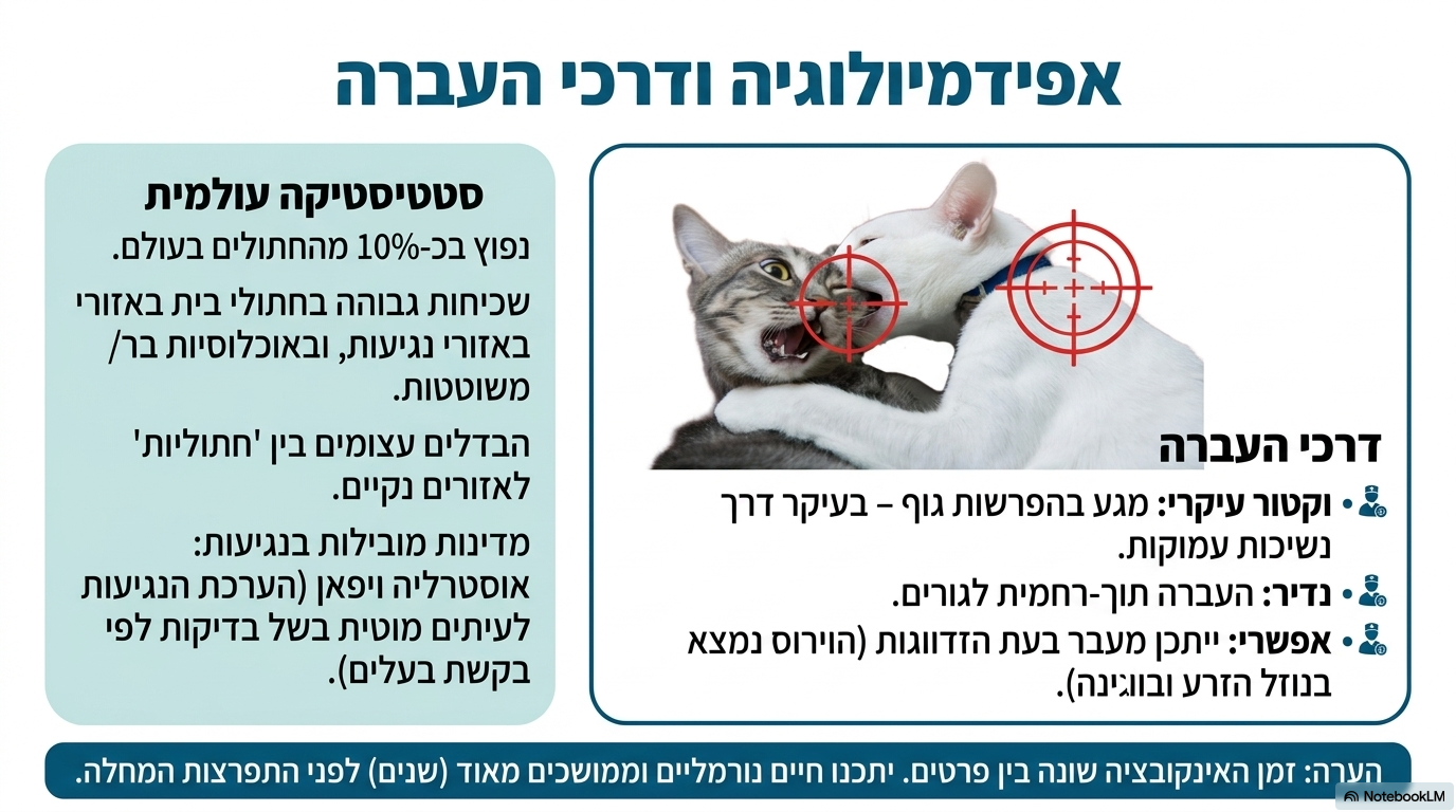<ul><li><p><strong>דרכי העברה:</strong> הווירוס מועבר במגע של הפרשות גוף – <strong>ובעיקר באמצעות נשיכות</strong>. הוא יכול לעבור ברחם מהאם לגורים (אירוע נדיר מאוד), וייתכן מעבר בעת הזדווגות (הנגיף נמצא באופן קליני בנוזל הזרע ובוגינה).</p></li><li><p><strong>נפוצות עולמית:</strong> נפוץ בעולם כולו בקרב <strong>כ-10% מהחתולים</strong>. אוסטרליה ויפן הן המדינות המובילות בשיעורי הנגיעות. קיימים הבדלים עצומים באחוזי התחלואה בין מוקדים צפופים (חתוליות) לאזורים נקיים.</p></li><li><p><strong>זמן דגירה (אינקובציה):</strong> משתנה מאוד בין חתולים. ייתכנו <strong>חיים נורמליים וממושכים מאוד לאורך שנים</strong>. שחרור הווירוס לדם (וירמיה) הוא זה שמוביל בסופו של דבר להופעת מגוון התסמינים</p></li></ul><p></p>