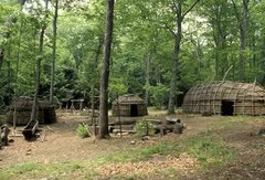 <p>Coastal Plain, Appalachian Mountains (Eastern Woodlands)</p><p>Longhouses made of wood and bark</p><p>Wigwams</p><p>• Farmers</p><p>• Hunters</p><p>• Gatherers</p><p>• Trappers (fur)</p><p>• Fishermen</p>