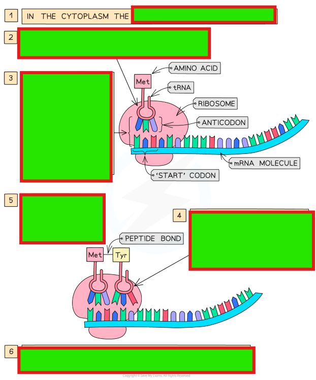 <p>Fill in the blanks </p>