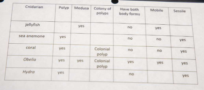 <p>Study this :)</p>