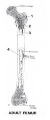 <p>1</p>