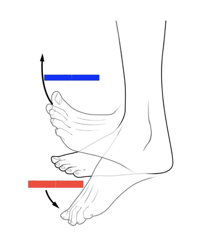 <p>What is the blue?</p>