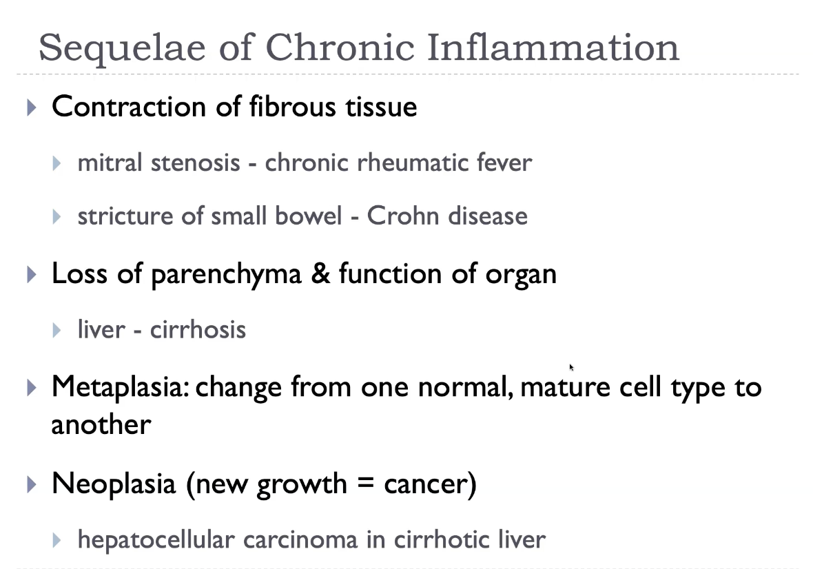 <p>Chronic inflammation leads to progressive <strong>tissue destruction</strong>, followed by <strong>fibrosis and scarring</strong>, which distort normal architecture and impair organ function. Persistent cytokine release drives <strong>angiogenesis</strong>, <strong>fibroblast proliferation</strong>, and <strong>collagen deposition</strong>, resulting in stiff, poorly functioning tissue. Chronic inflammatory states may also produce <strong>granulomas</strong>, <strong>metaplasia</strong>, and even <strong>dysplasia</strong>, increasing the risk of <strong>malignancy</strong> in some organs. Systemically, chronic inflammation contributes to <strong>anaemia of chronic disease</strong>, <strong>cachexia</strong>, and <strong>amyloidosis</strong>. These sequelae reflect the imbalance between ongoing injury and incomplete repair.</p>