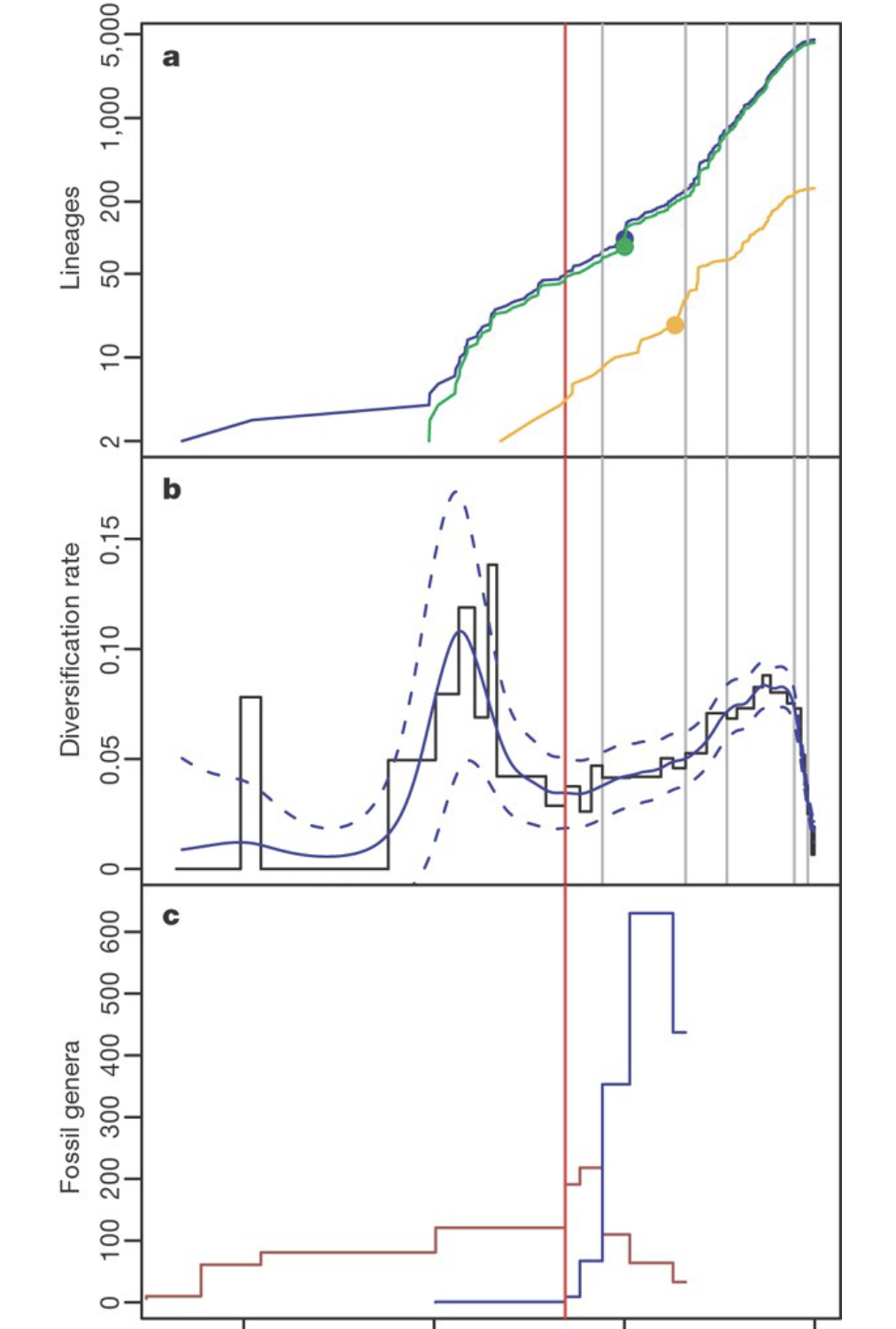 <p>On the previous page is Figure 2 “Temporal patterns of mammalian diversification” from Bininda-Emonds et al (2007). The authors wished to answer when mammals diversified and whether the diversification of mammals coincided with the KPg Mass Extinction (KPg-ME) of 67 mya. (a) Suborder Lineage-through-time plot for all (blue), placental (green) and marsupial (orange) mammals. Filled circles indicate when resolution in the phylogeny dropped below 85%. (b) Net diversification rates in each time period (stepped line) and generalized additive model (GAM for short) estimate (solid blue curve, χ2 = 241.5, estimated degrees of freedom = 14.75, P ≪ 0.001, adjusted R2 = 77.6%, deviance explained = 20.3% with dashed curves representing the 95% confidence intervals). GAMs are a category of algorithms that allow you to estimate the effect size of numerous parameters. Think of parameters as being the settings for an app where the GAM is the app. (c) Counts of mammalian genera in each time period (Late Triassic to Late Eocene) according to the Unitaxon database. Red and blue lines represent genera whose families diversified predominantly before or after the Palaeocene/Eocene boundary, respectively. Throughout, the red vertical line is the KPg-ME boundary and grey lines separate Cenozoic time periods. The authors hypothesized that the KPg-ME was not important for the diversification for mammals. Instead, mammal suborder diversification began before the KPg-ME, flatlined during the KPg-ME, then rose again several million years after. Is their data consistent with this hypothesis? Explain</p>