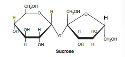 <p>Sucrose</p>