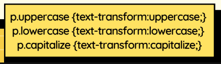 <p>Text Transform</p>