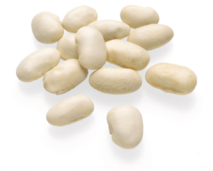 <p>Cannellini beans / Feijão cannellini</p>