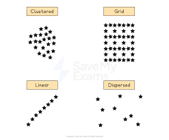 <p>Clustering &amp; Dispersal - Spatial pattern 3</p>