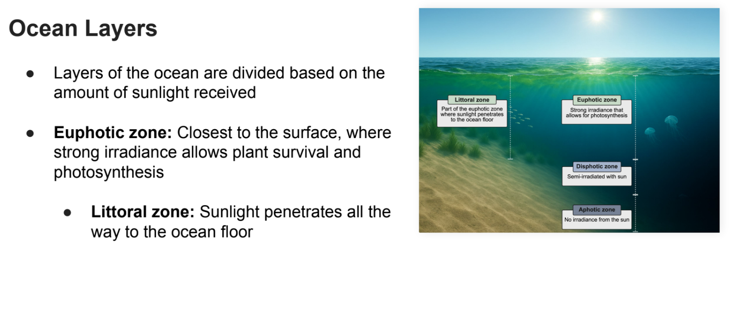 <p><strong>Euphotic zone:</strong> Closest to the surface, where strong irradiance allows plant survival and photosynthesis</p><p></p><p><strong>ELDA</strong></p>