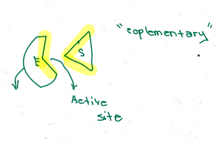 <p>c. Active site</p>