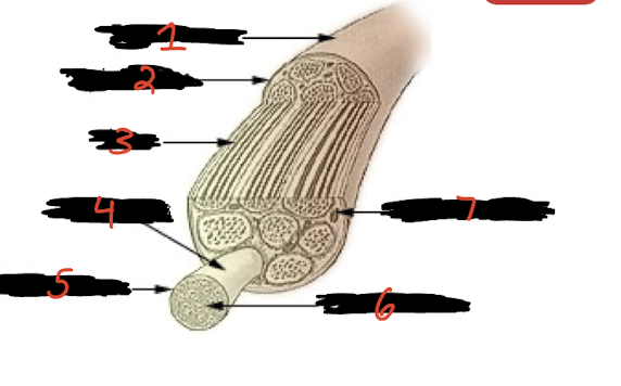 <p>First, what is this? Second, label each number. </p>