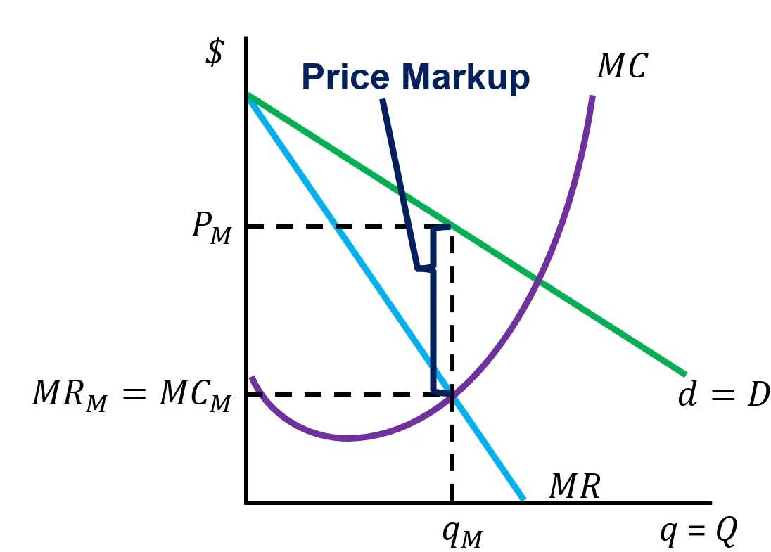 <ul><li><p>For a monopoly: P > MC</p></li><li><p>The price consumers pay is higher than the marginal cost to make the good. We call this difference a price markup.</p></li><li><p>Markup = P - MC</p></li></ul><p></p>