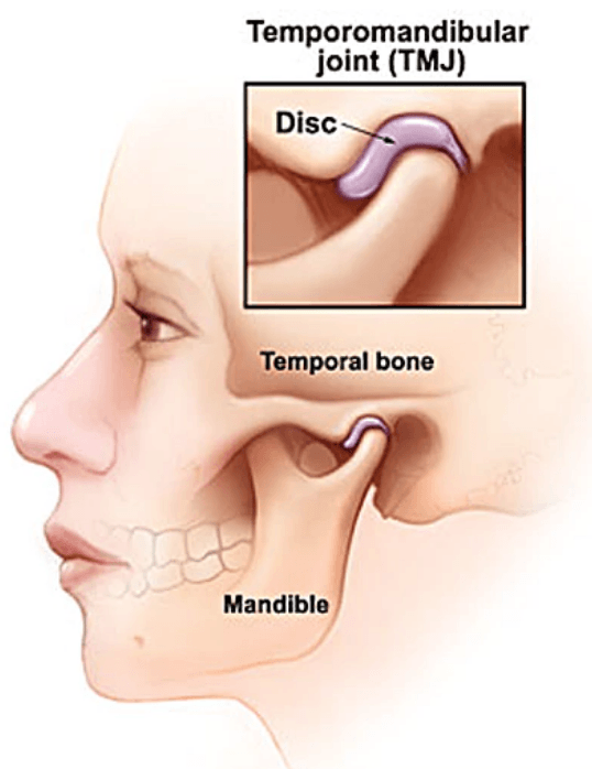 <p>TMJ combines plane joint and hinge diarthorsis</p>